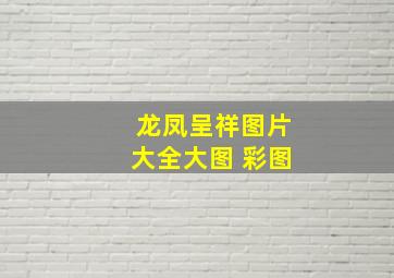 龙凤呈祥图片大全大图 彩图